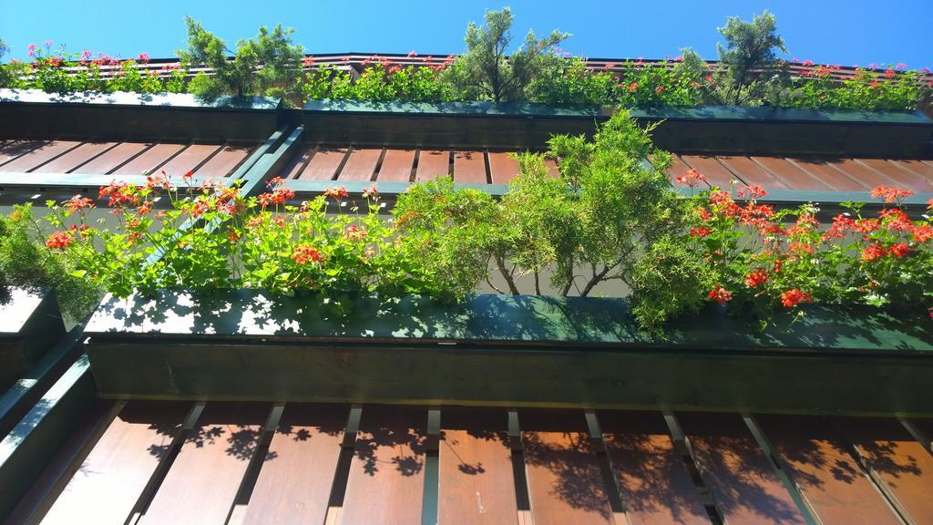 La Felce Bed & Breakfast 加里索洛 外观 照片